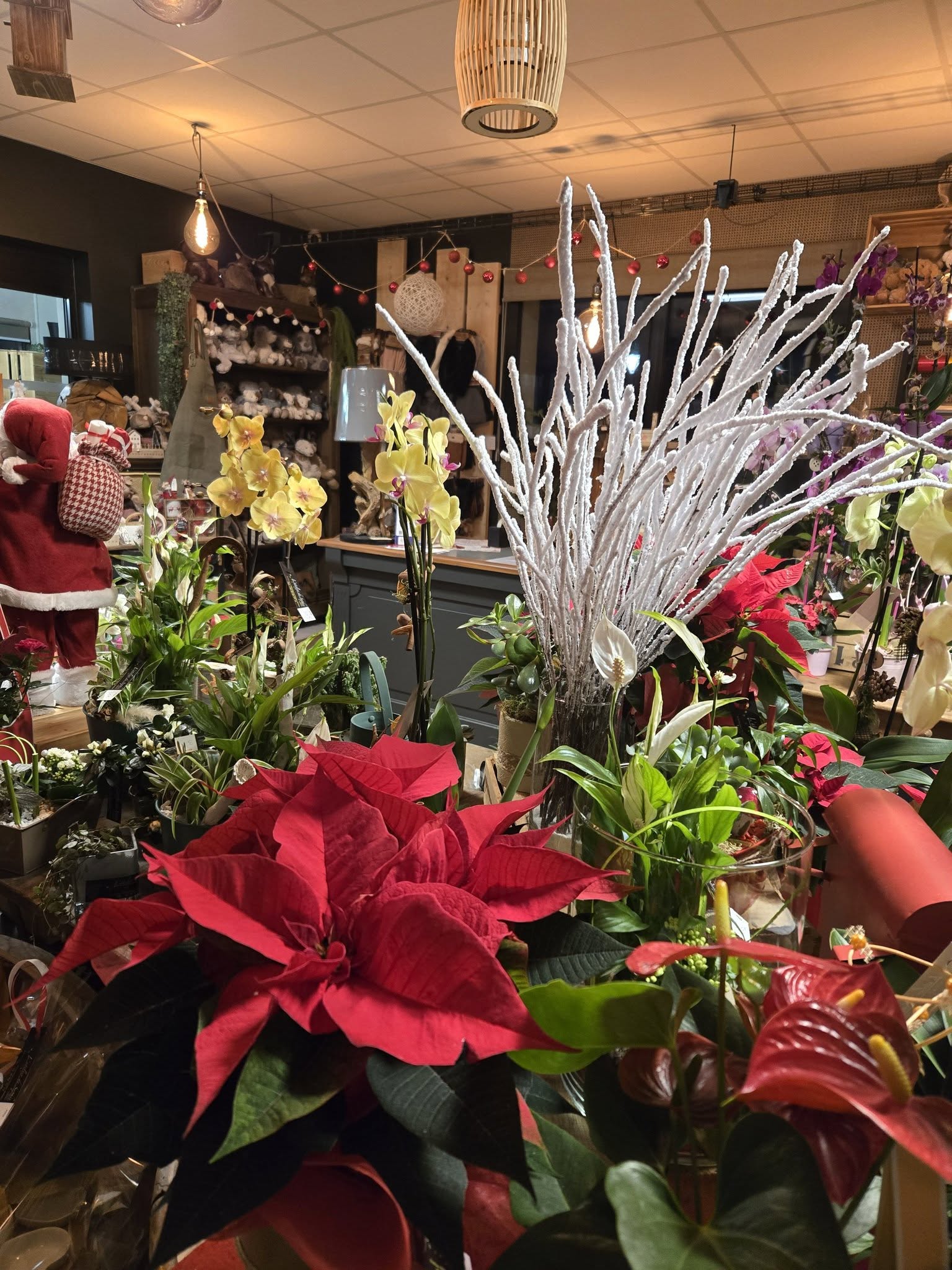 Ambiance fleurie et décorations dans la boutique