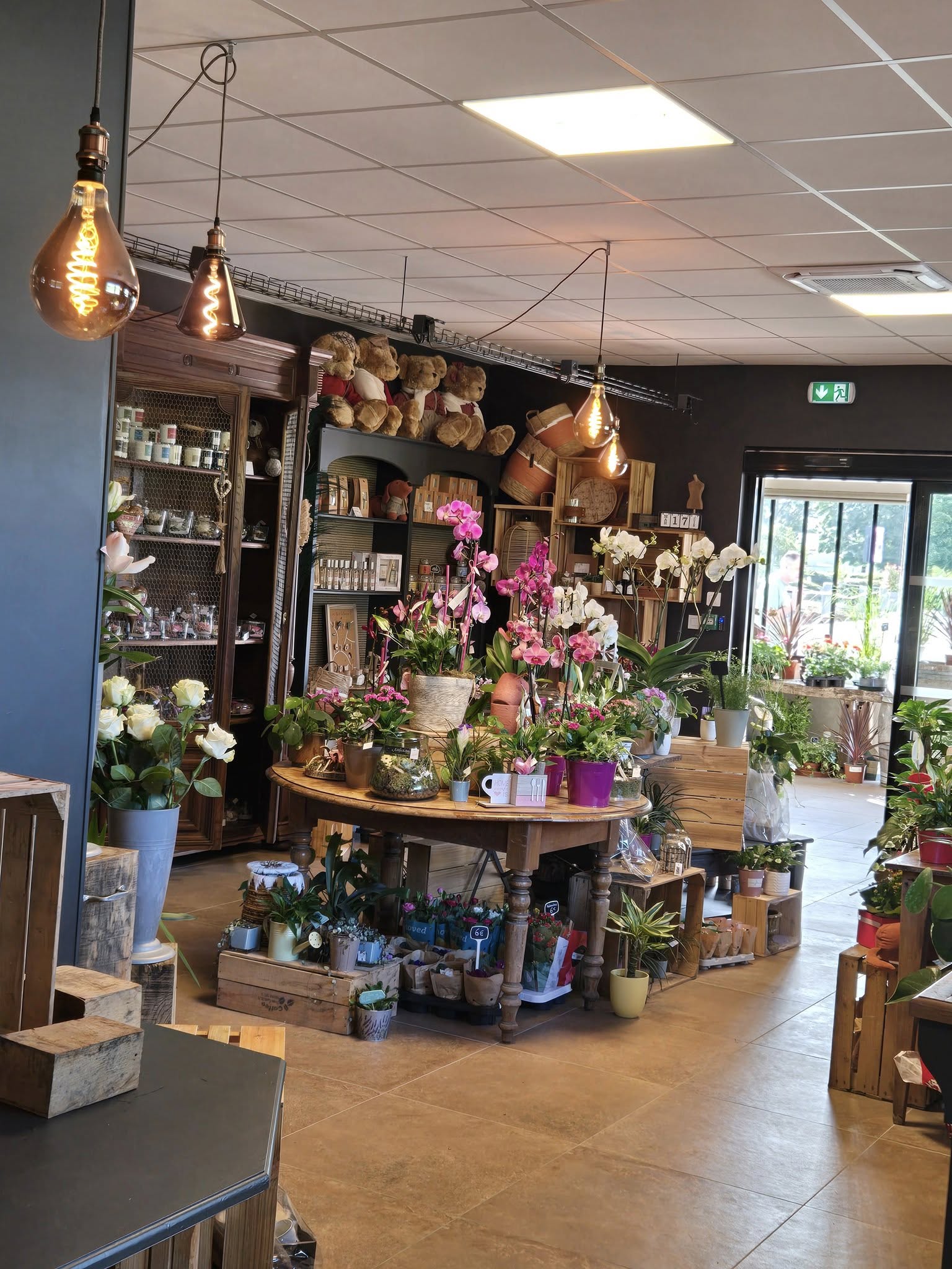 Intérieur de la boutique avec plantes et orchidées